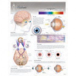 Vision Laminated Poster