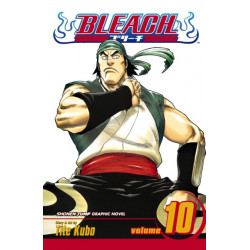 Bleach, Vol. 10: Tattoo on the Sky