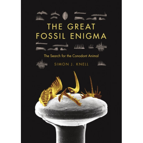 The Great Fossil Enigma: The Search for the Conodont Animal