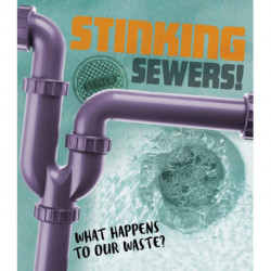 Stinking Sewers!: What happens to our waste?