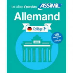 Allemand Niveau 3e