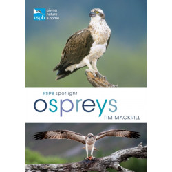RSPB Spotlight Ospreys