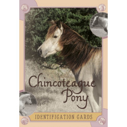 Chincoteague Pony Identification Cards: Set 2
