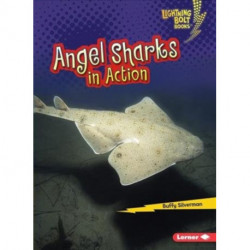 Angel Sharks in Action
