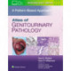 Atlas of Genitourinary Pathology: A Pattern Based Approach