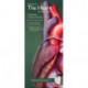 Anatomical Chart Company's Illustrated Pocket Anatomy: Anatomy of The Heart Study Guide