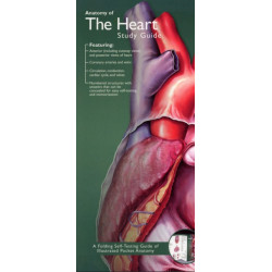 Anatomical Chart Company's Illustrated Pocket Anatomy: Anatomy of The Heart Study Guide