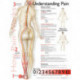 Understanding Pain Anatomical Chart