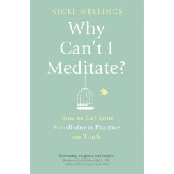 Why Can't I Meditate?: how to get your mindfulness practice on track