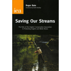 Saving Our Streams