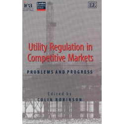 Utility Regulation in Competitive Markets: Problems and Progress