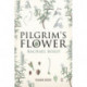 Pilgrim's Flower