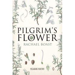 Pilgrim's Flower