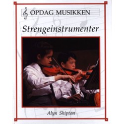 Strengeinstrumenter