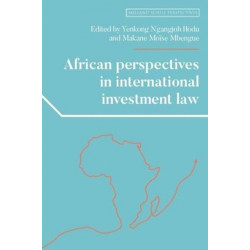 African Perspectives in International Investment Law
