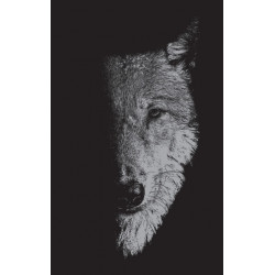 In the Company of Wolves: Werewolves, Wolves and Wild Children