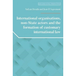 International Organisations, Non-State Actors, and the Formation of Customary International Law