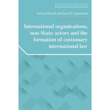 International Organisations, Non-State Actors, and the Formation of Customary International Law