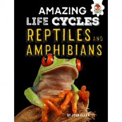 Reptiles and Amphibians - Amazing Life Cycles