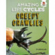 Amazing Life Cycles-Minibeasts