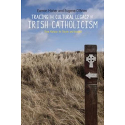 Tracing the Cultural Legacy of Irish Catholicism: From Galway to Cloyne and Beyond