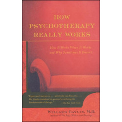 How Psychotherapy Really Works