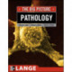 Pathology: The Big Picture