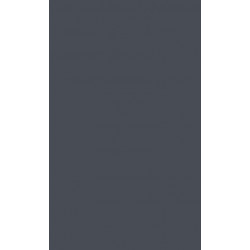 Carving Out the Commons: Tenant Organizing and Housing Cooperatives in Washington, D.C.