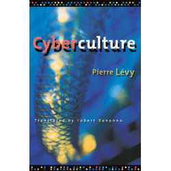 Cyberculture