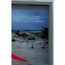 Inanimation: Theories of Inorganic Life