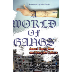 A World of Gangs: Armed Young Men and Gangsta Culture