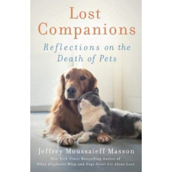 Lost Companions: Reflections on the Death of Pets