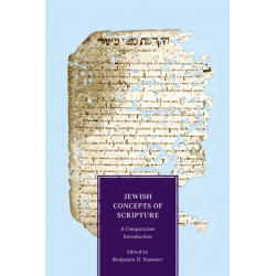 Jewish Concepts of Scripture: A Comparative Introduction