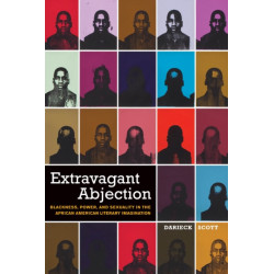 Extravagant Abjection: Blackness, Power, and Sexuality in the African American Literary Imagination