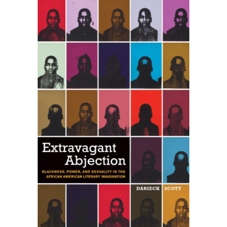 Extravagant Abjection: Blackness, Power, and Sexuality in the African American Literary Imagination