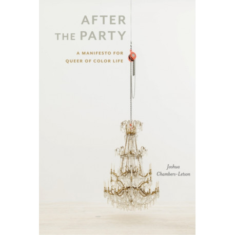 After the Party: A Manifesto for Queer of Color Life
