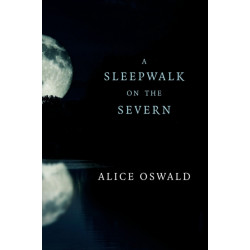 A Sleepwalk on the Severn