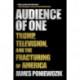 Audience of One: Trump, Television, and the Fracturing of America