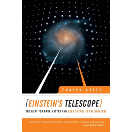 Einstein's Telescope: The Hunt for Dark Matter and Dark Energy in the Universe