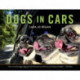 Dogs in Cars