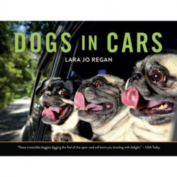 Dogs in Cars