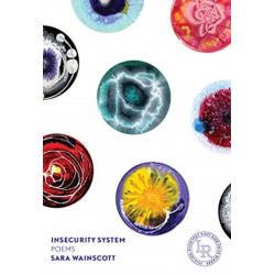 Insecurity System: Poems