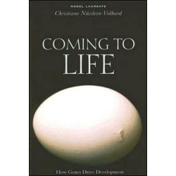 Coming to Life: How Genes Drive Development