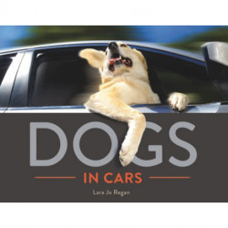 Dogs in Cars