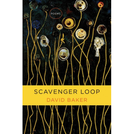 Scavenger Loop: Poems