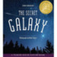The Secret Galaxy