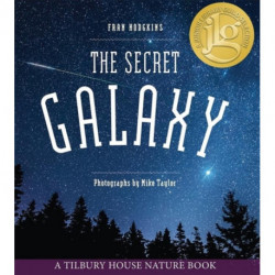 The Secret Galaxy