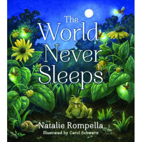 The World Never Sleeps