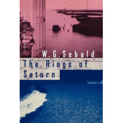 The Rings of Saturn