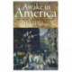 Awake in America: On Irish American Poetry